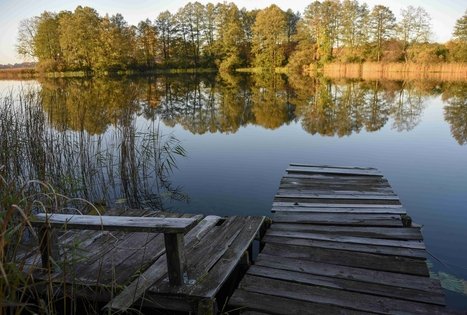 Veisiejų dvaro parkas
