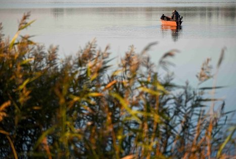 Veisiejų dvaro parkas