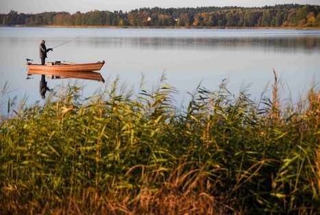 Veisiejų dvaro parkas