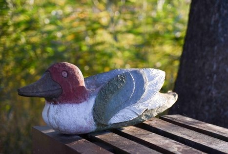 Veisiejų dvaro parkas