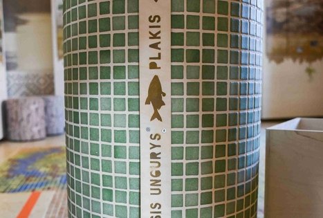 Veisiejų regioninio parko direkcija