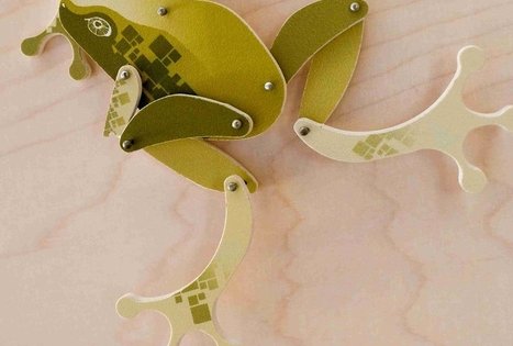 Veisiejų regioninio parko direkcija