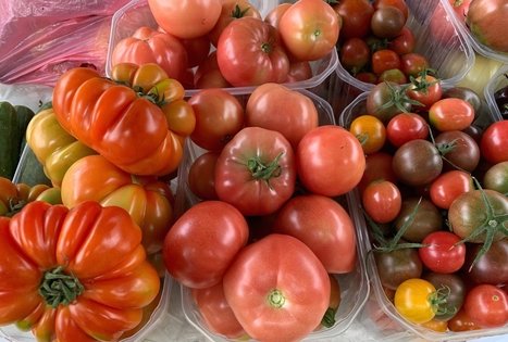 Veronikos ir Andriaus ūkis