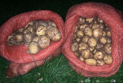 Veronikos ir Andriaus ūkis