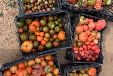 Veronikos ir Andriaus ūkis