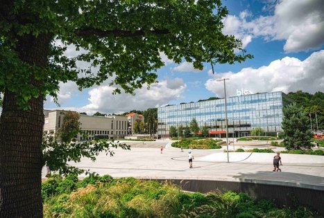 Miško Takas 64. Kaunas – Lampėdžiai.