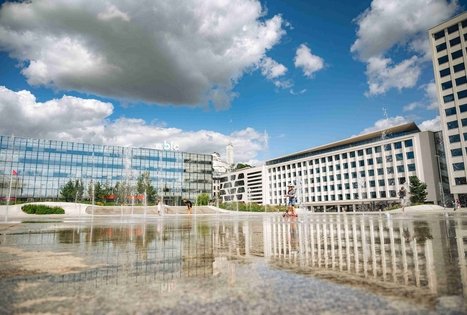 Miško Takas 64. Kaunas – Lampėdžiai.