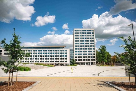 Miško Takas 64. Kaunas – Lampėdžiai.