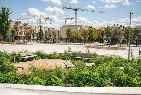 Miško Takas 64. Kaunas – Lampėdžiai.