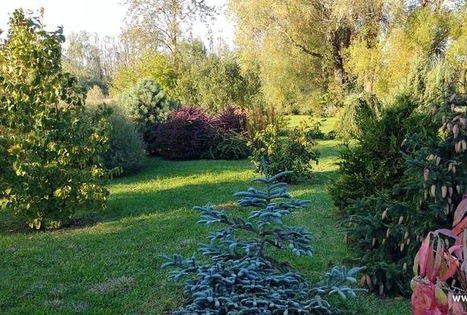 Dendrariumas „Vilki“ / „Vilkai“