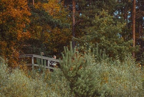 Vilkijos atodanga ir apžvalgos aikštelė