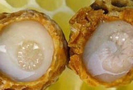 Violetos ir Juozo Kuklių bitynas