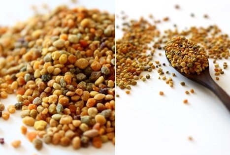 Violetos ir Juozo Kuklių bitynas