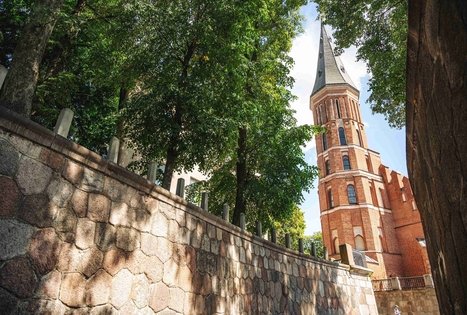 Vytauto Didžiojo Švč. Mergelės Marijos ėmimo į dangų bažnyčia