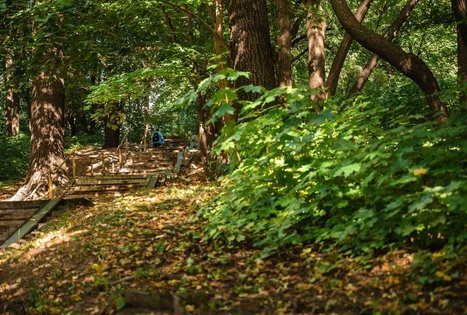 Vytauto parkas Kaune