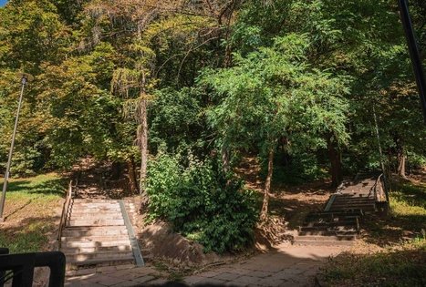 Vytauto parkas Kaune