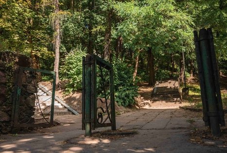 Vytauto parkas Kaune