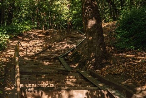 Vytauto parkas Kaune