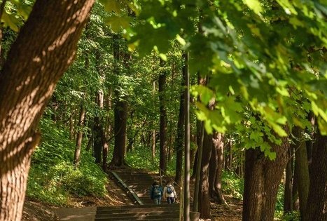 Vytauto parkas Kaune