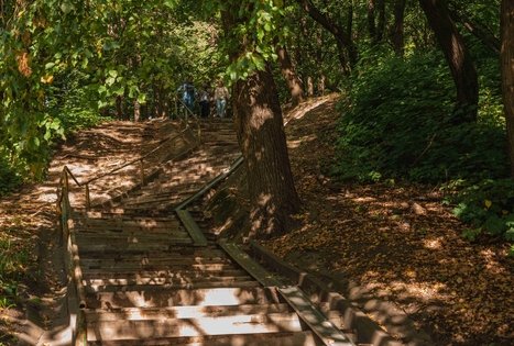 Vytauto parkas Kaune