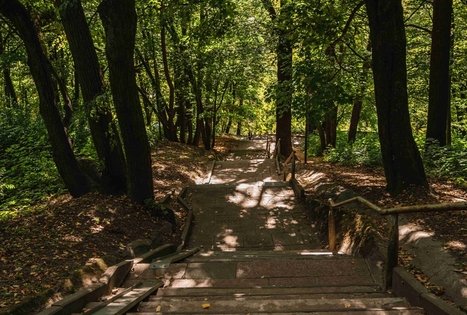 Vytauto parkas Kaune