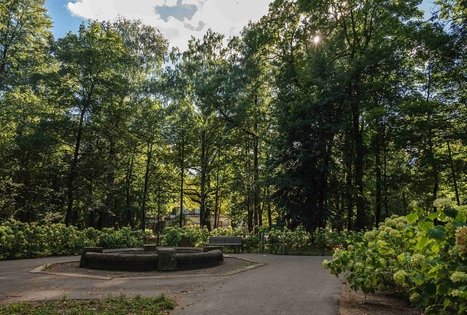 Vytauto parkas Kaune