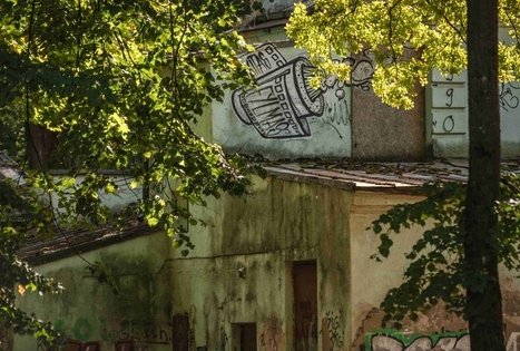 Vytauto parkas Kaune