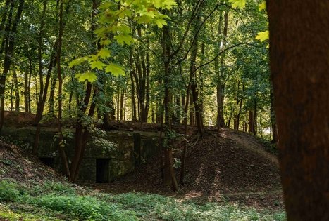 Vytauto parkas Kaune