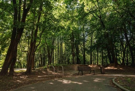 Vytauto parkas Kaune