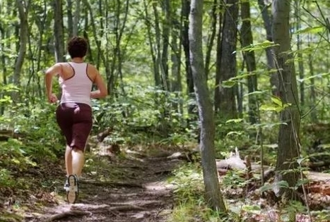 Orientacinės varžybos 