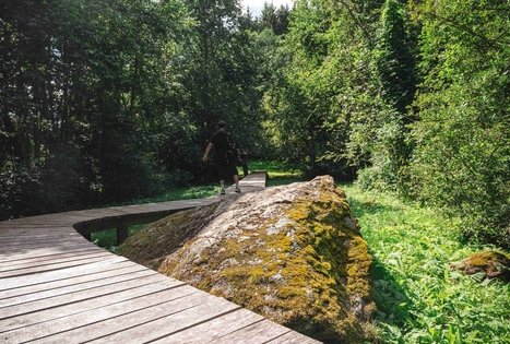 Žalpių (arba Dubenuotas) akmuo