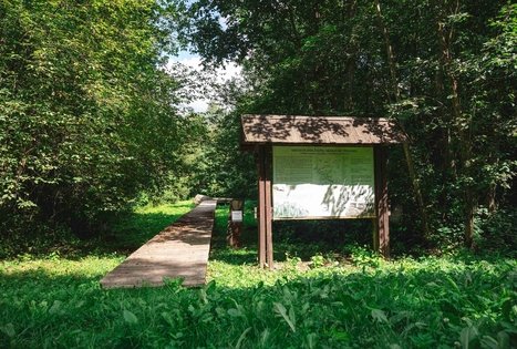 Žalpių (arba Dubenuotas) akmuo