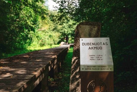 Žalpių (arba Dubenuotas) akmuo