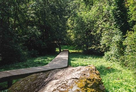 Žalpių (arba Dubenuotas) akmuo