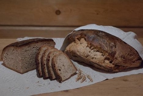 Duonelė kasdieninė