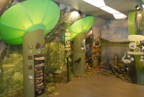 „Žemaitijos žemės slėpiniai“