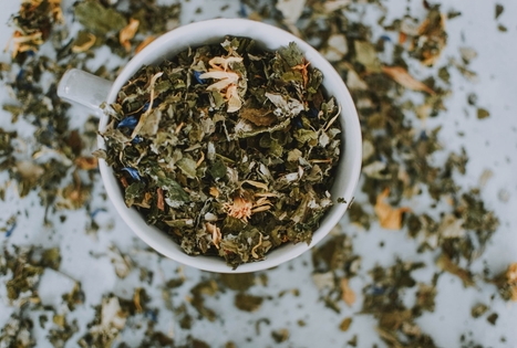 Edukacinė vakaronė su žolininke