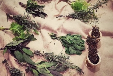 Sodyba „Gervių giesmė“