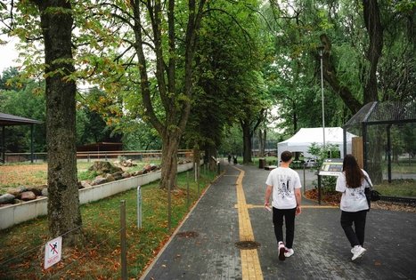 Miško Takas 63. Vaišvydava – Kaunas.