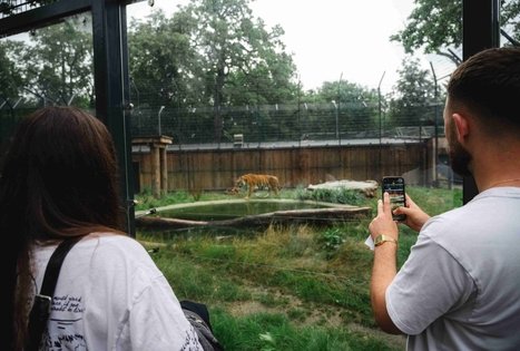 Lietuvos zoologijos sodas