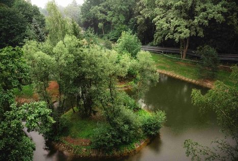 Miško Takas 63. Vaišvydava – Kaunas.