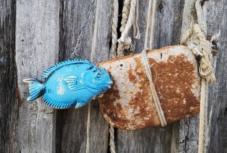 Neringos žvejų edukacijos