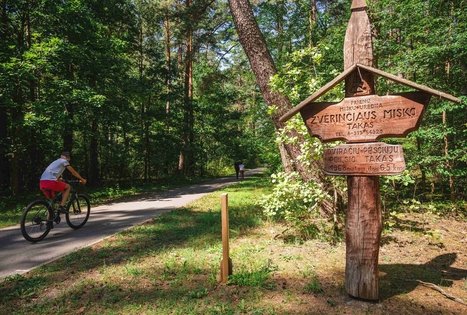 Žvėrinčiaus miškas