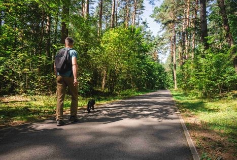 Miško Takas 60. Birštonas – Alksniakiemis.