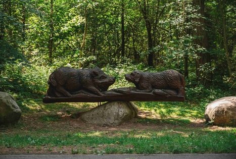 Miško Takas 60. Birštonas – Alksniakiemis.