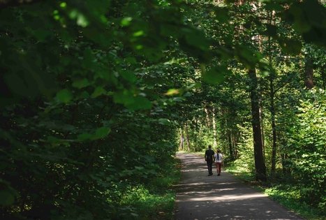 Miško Takas 60. Birštonas – Alksniakiemis.