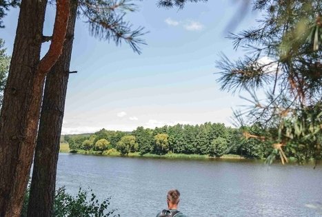 Žvėrinčiaus miškas