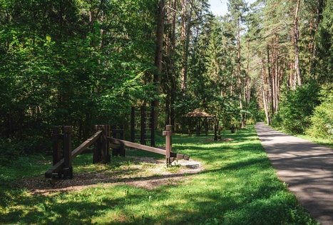 Miško Takas 60. Birštonas – Alksniakiemis.