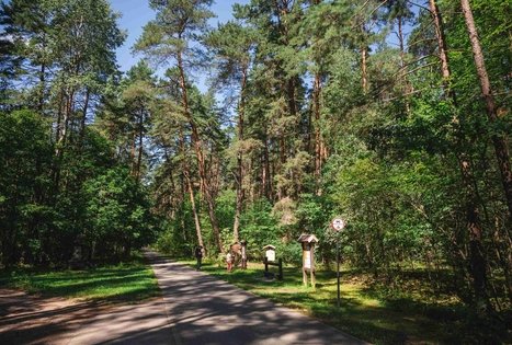 Miško Takas 60. Birštonas – Alksniakiemis.