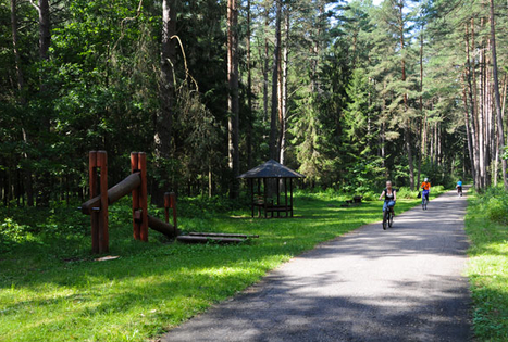 Žvėrinčiaus miškas